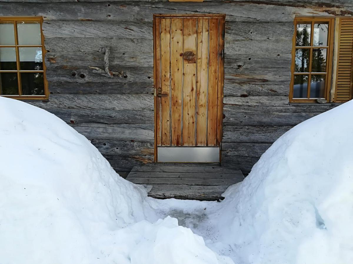 Logwood Chalet Luosto Εξωτερικό φωτογραφία