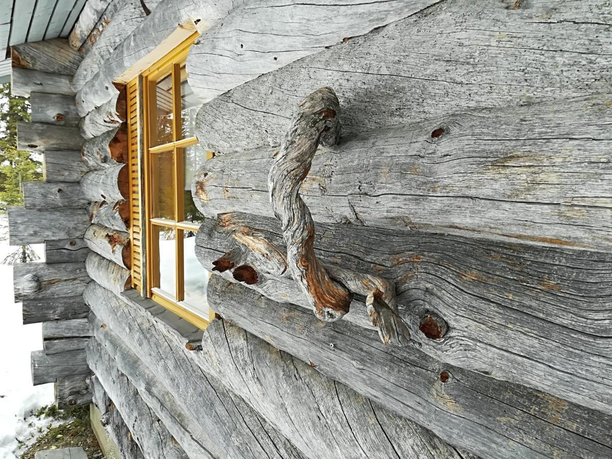 Logwood Chalet Luosto Εξωτερικό φωτογραφία