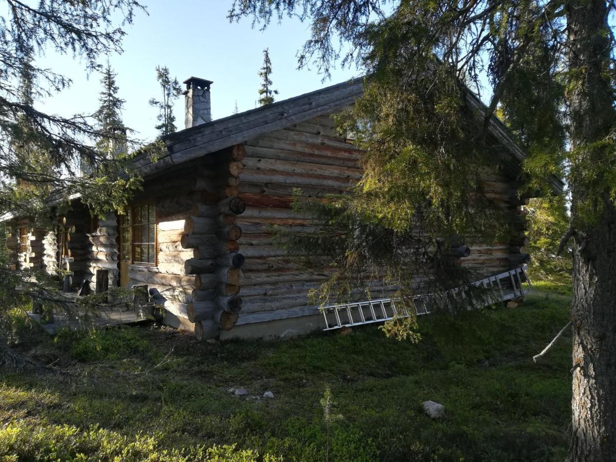 Logwood Chalet Luosto Εξωτερικό φωτογραφία