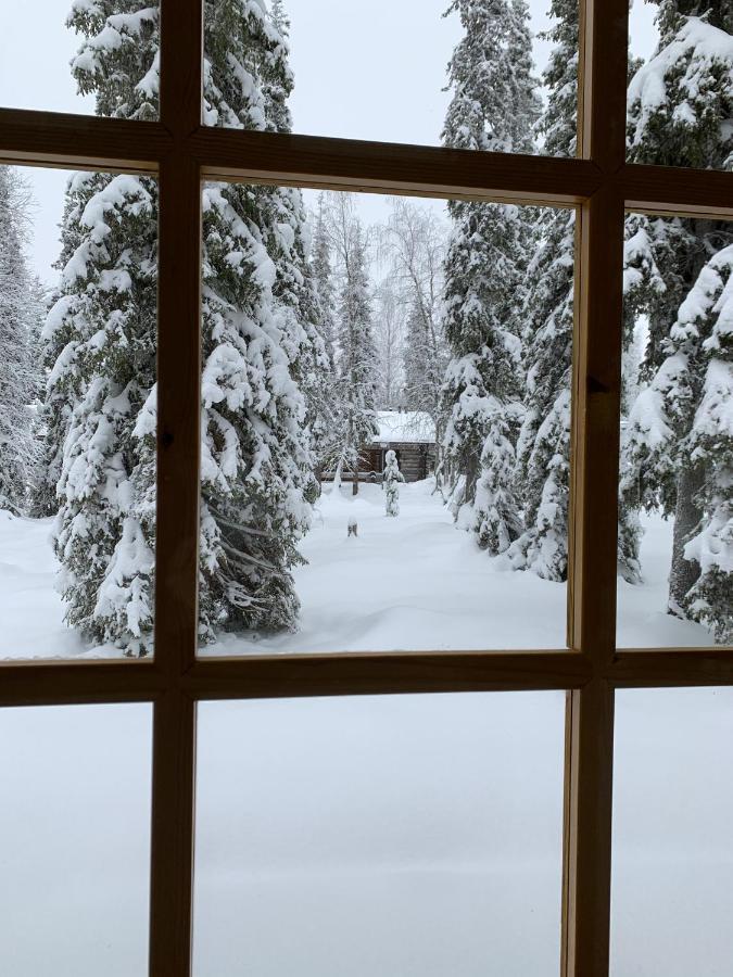 Logwood Chalet Luosto Εξωτερικό φωτογραφία